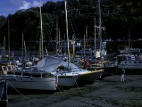 Ilfracombe Harbour Devon